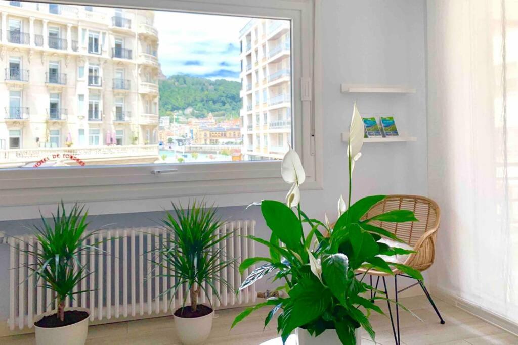 New Gorgeous Central Apartment - Beachfront - 3 Bd San Sebastián Exteriér fotografie